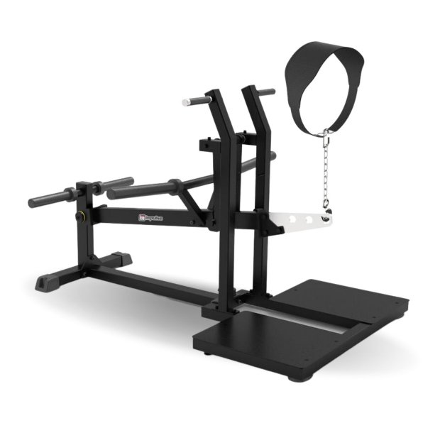 IFP1615 BELT SQUAT