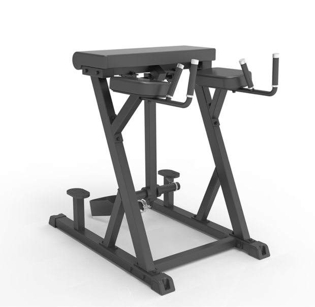 IFP1619 REVERSE HYPEREXTENSION