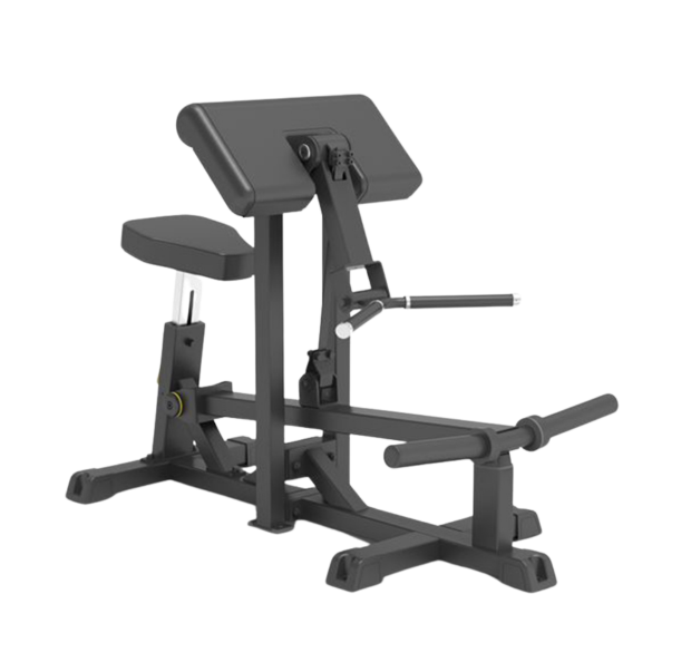 IFP1501 BICEP CURL