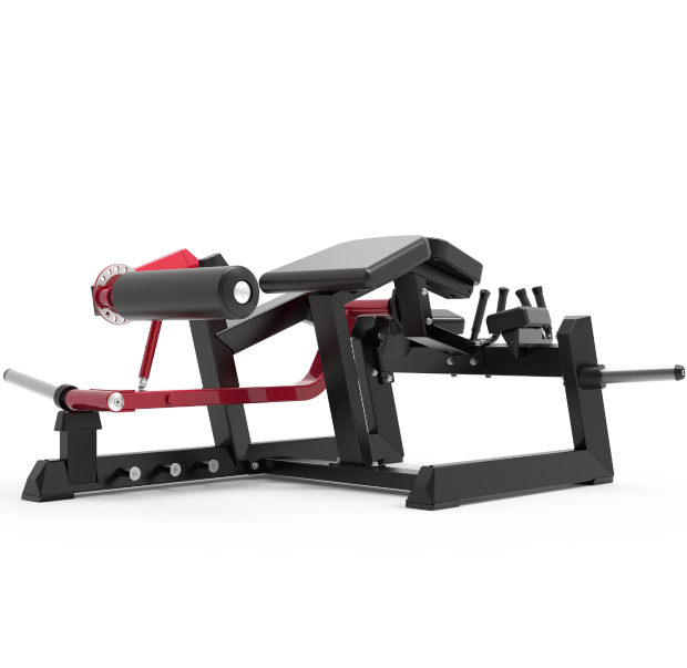 ECP604 PRONE LEG CURL