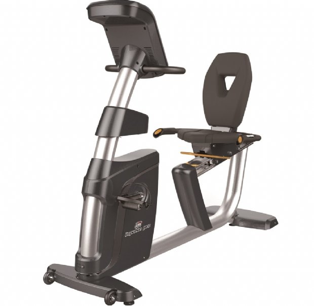 Recumbent Bike RR500